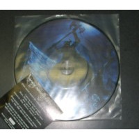 HORNA - Perimä Vihassa Ja Verikostossa PICT LP