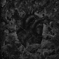 HORNA - PURE - Split