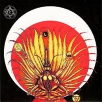 IC REX - Valonkantajan alkemia