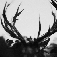 IHSAHN - Ihsahn (Black Vinyl)