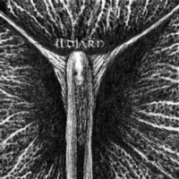 ILDJARN - Forest poetry
