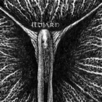 ILDJARN - Ildjarn - Ltd