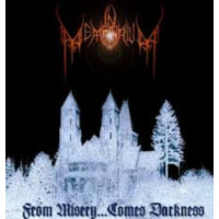 IN MEMORIUM - From Misery...Comes Darkness