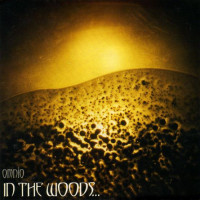 IN THE WOODS - Omnio