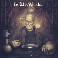 IN THE WOODS - Pure