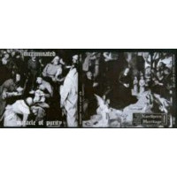 INCRIMINATED - Miracle of purity