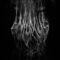 INCURSUS - Adaestuo