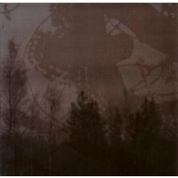 INMITTEN DES WALDES - MORTUALIA - Split CD