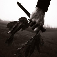 LAETITIA IN HOLOCAUST - Fanciulli D​’​Occidente