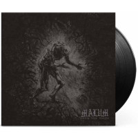 MALUM - From the Voids