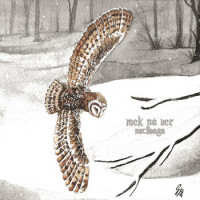 MEK NA VER - Noctivaga