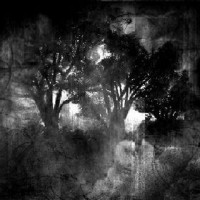 MELENCOLIA ESTATICA - Melancolia Estatica