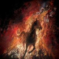 MISERERE LUMINIS - Ordalie