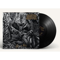 MONARQUE - Lys Noir