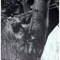 MONUMENTUM - In absentia christi - Lim digi