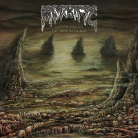 MORBIFIC - Squirm Beyond The Mortal Realm