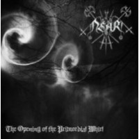 NEAR - The opening of the primordial whirl