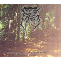 NECROFROST - Dark Fog Hovers Near the Wooden Caves of Uldrakhilan Bloodforests