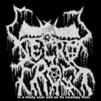 NECROFROST - In a misty soar and on its swampy floor