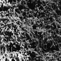 NECROPOLISSEBEHT - Taurunovem - Th’Astraktyan Serfdome