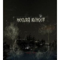 NEGURA BUNGET - Focul Viu