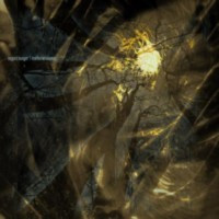 NEGURA BUNGET - Inarborat Kosmos