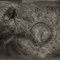 NIDSANG - Into the Womb of Dissolving Flames