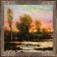 OLD FOREST - Dagian