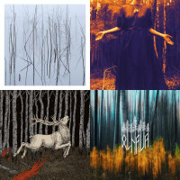 OLHAVA - Discography: bundle on vinyls