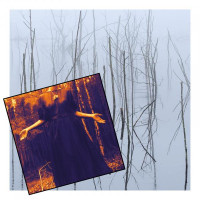 OLHAVA - Frozen Bloom + Never Leave Me Alone (Vinyls bundle)