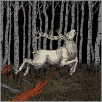 OLHAVA - Ladoga (splatter) Damged Cover