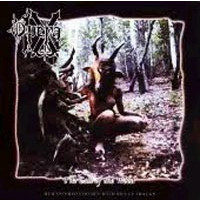 OPERA IX - The call of the wood