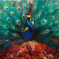 OPETH - Sorceress