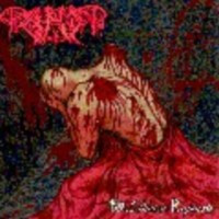 PAGANIZER - No divine rapture