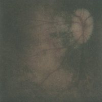 PALE SPEKTRE - Bereft Of Xerotic Layers