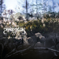 PANOPTICON - And Again Into The Light