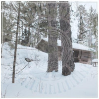 PANOPTICON - The Scars of Man on...  I