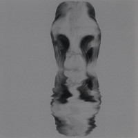 PANTHEIST - Pantheist