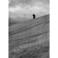 PAYSAGE D'HIVER - Paysage D'Hiver  