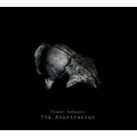 PLAMEN VECNOSTI - The Acumination