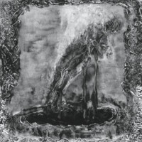 PREDATORY LIGHT - S/T