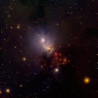 PROCER VENEFICUS - Convoy Pt 2 - digi