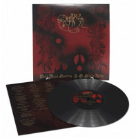 RUIM - Black Royal Spiritism