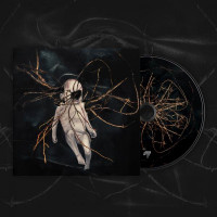 SELBST - Despondency Chord Progressions