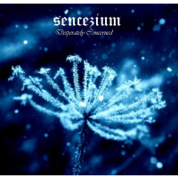 SENCEZIUM - Desperately Сoncerned