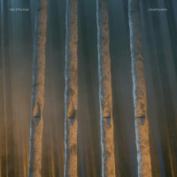 SKEPTICISM - Companion (black vinyl)