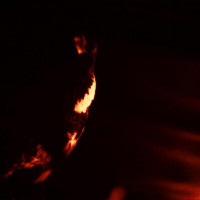 SKEPTICISM - Stormcrowfleet (2018)