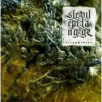 SLEEPING VILLAGE - Fragments - digi