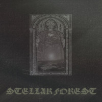 STELLAR FOREST - Stellar Forest