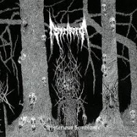 STRIBORG - Mysterious semblance